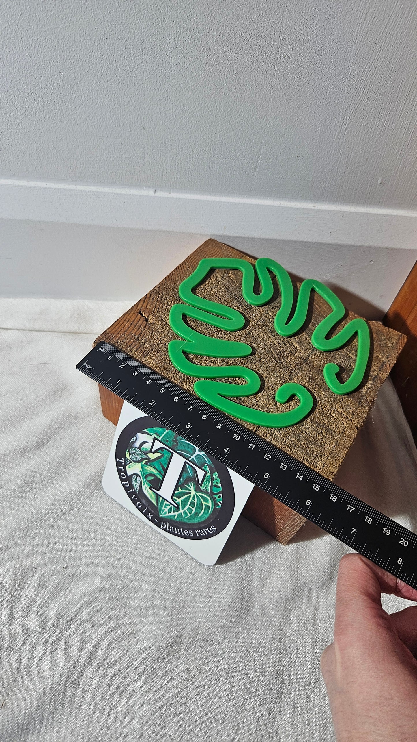 Support à tiges "Monstera", vert, 1 unité.