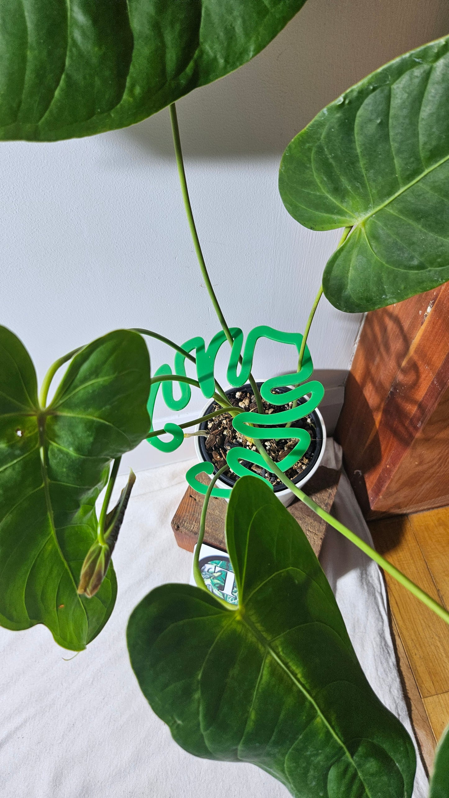 Support à tiges "Monstera", vert, 1 unité.