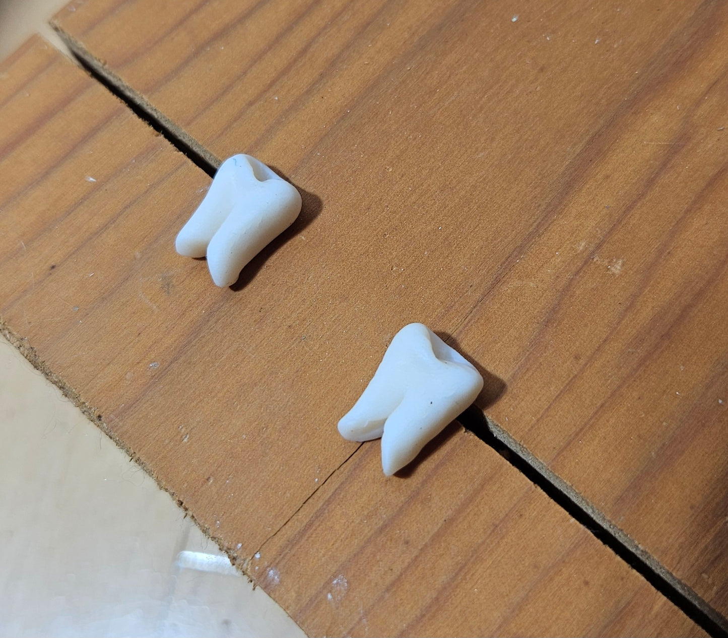 Tooth earrings