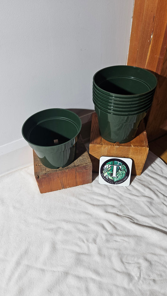 Pot de plastique 6 pouces rond, vert.