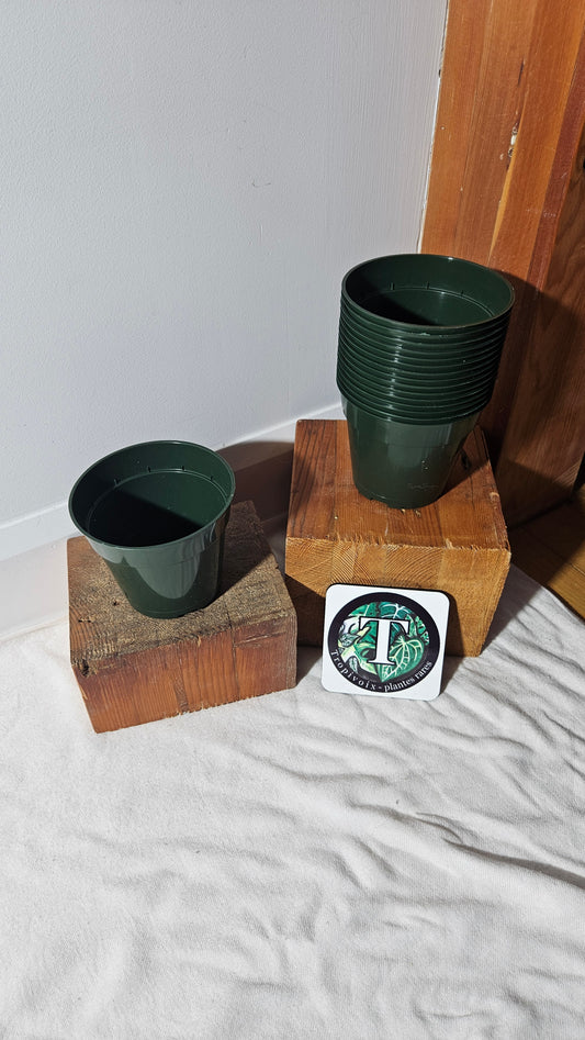 Pot de plastique 4.5 pouces rond, vert.