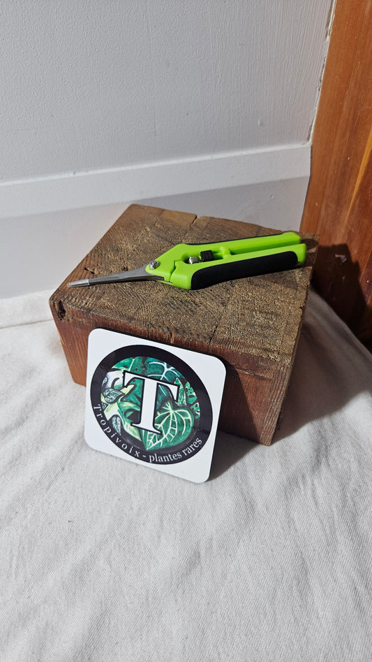 Sécateur, vert.