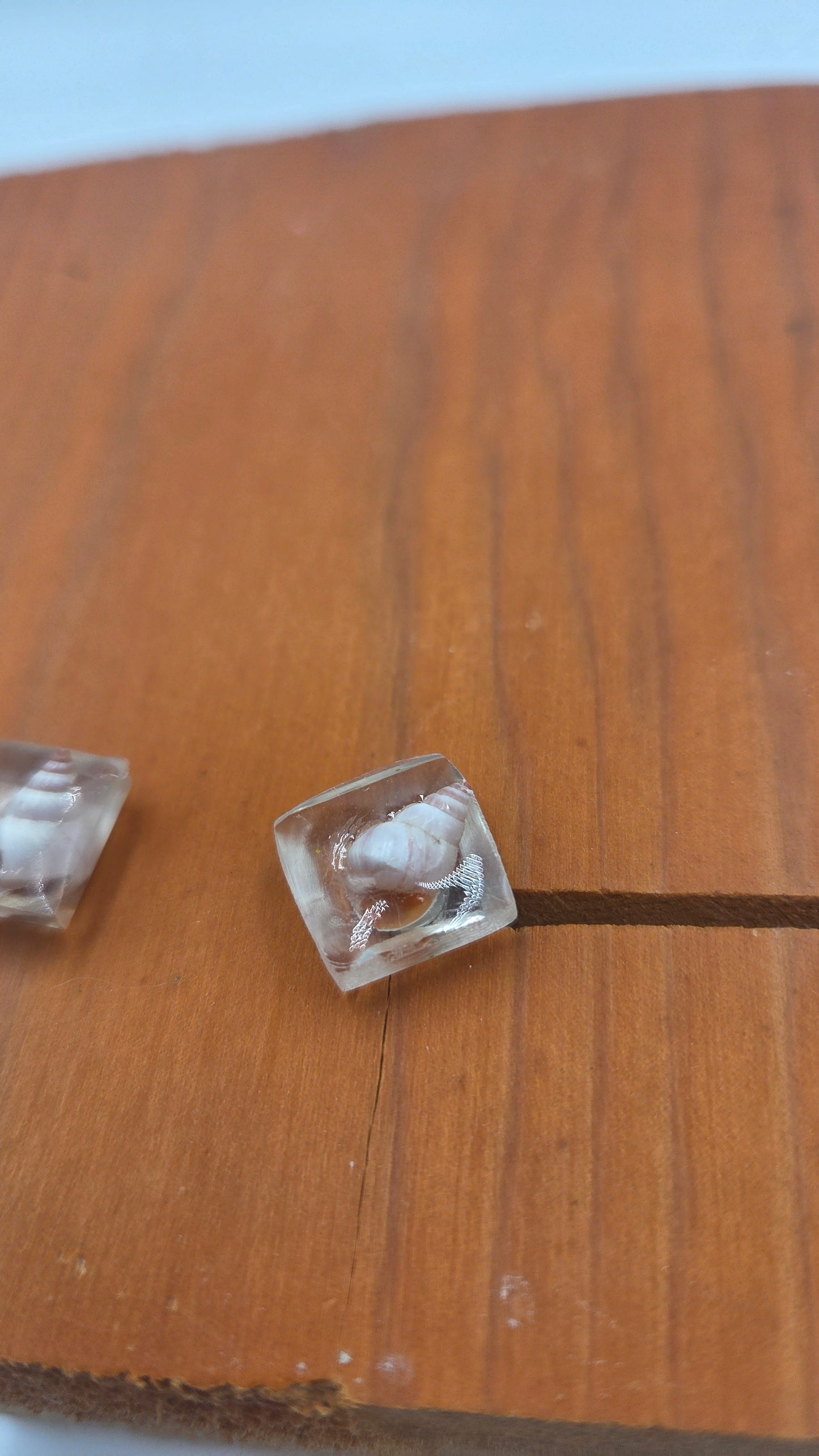 Boucles d'oreilles "coquillages"