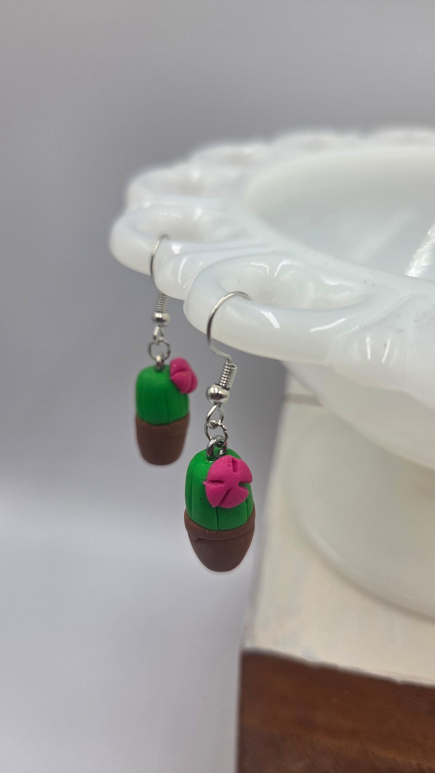 Boucles d'oreilles "cactus en fleur" en pot brun 3D