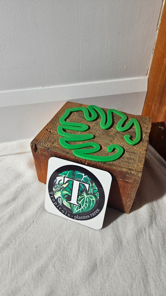 Support à tiges "Monstera", vert,     1 unité.