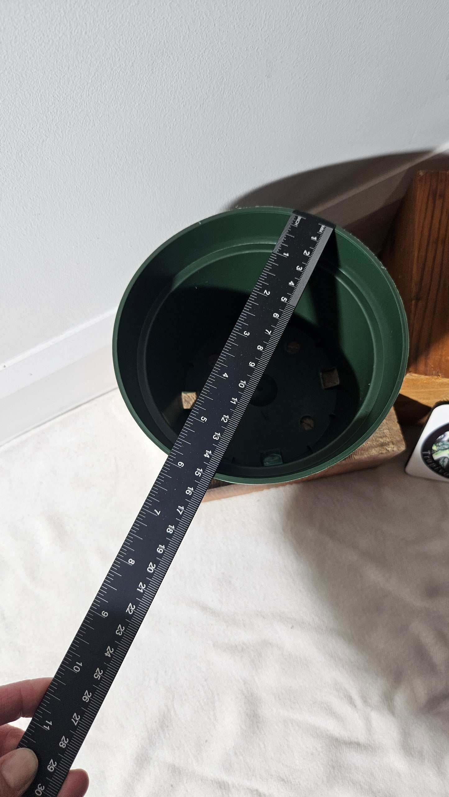 Pot de plastique 6 pouces rond, vert.